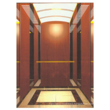 Residential Elevators with Competitive Price (DEEOO217)